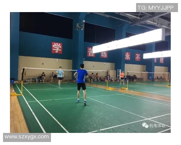 南京羽毛球队在世界锦标赛中的辉煌突破与奋斗历程回顾